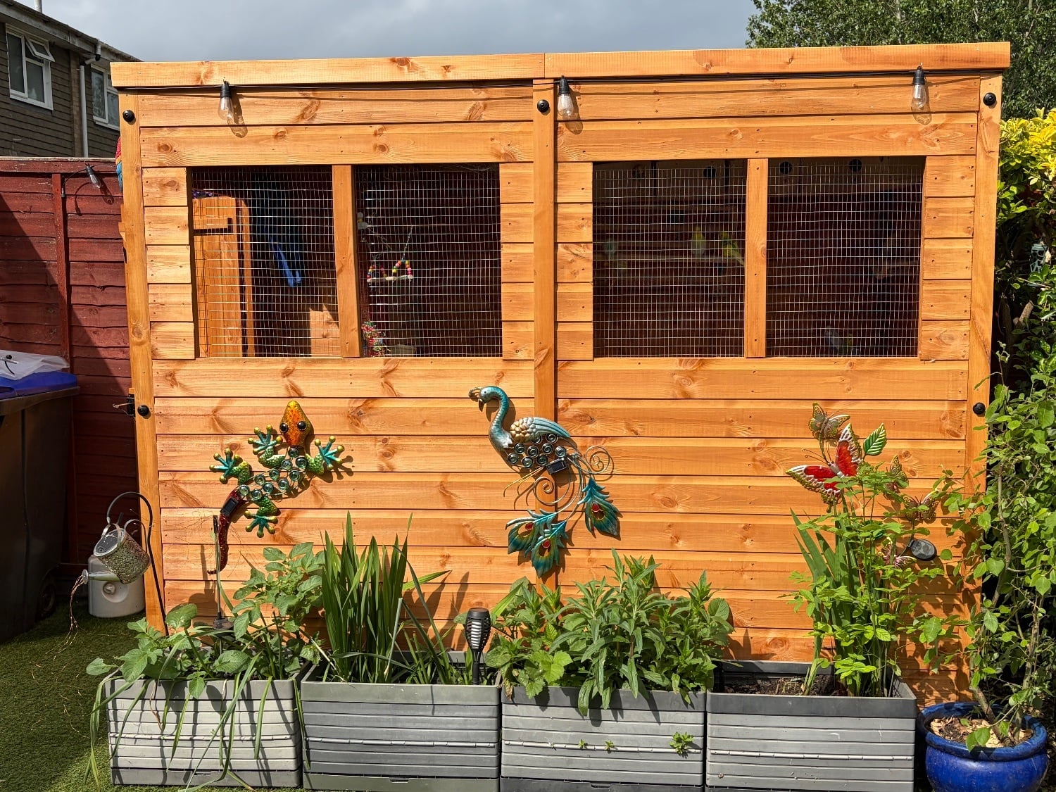 Bird Rehoming Service - small birds budgie, canaries, finches - Agricultural