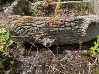 LOG EFFECT PLANTER