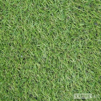 Premium Artificial Grass from Just £4.99/m² 