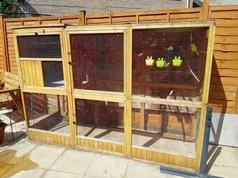 Budgies and aviary 