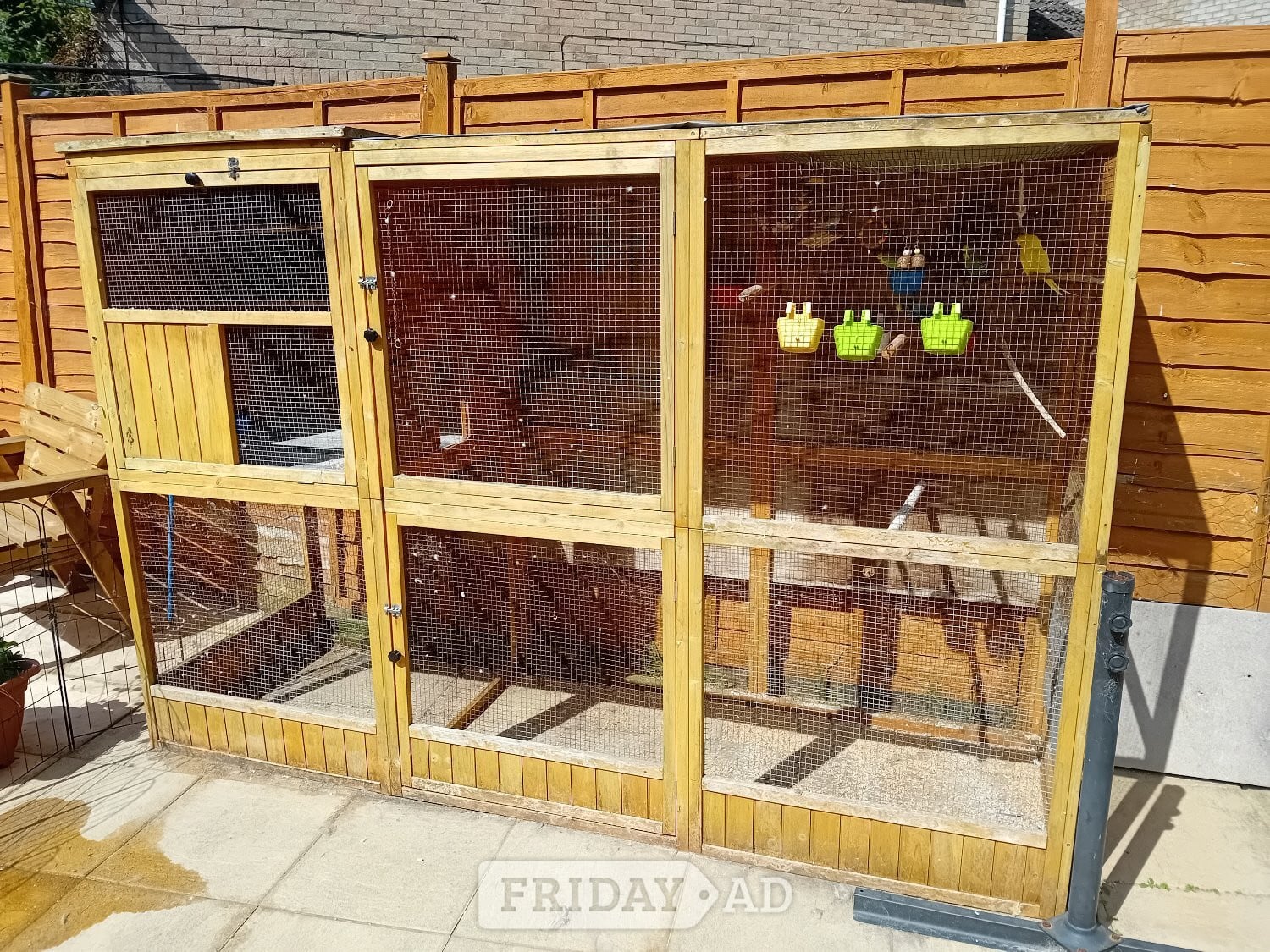 Budgies and aviary  in Bristol
