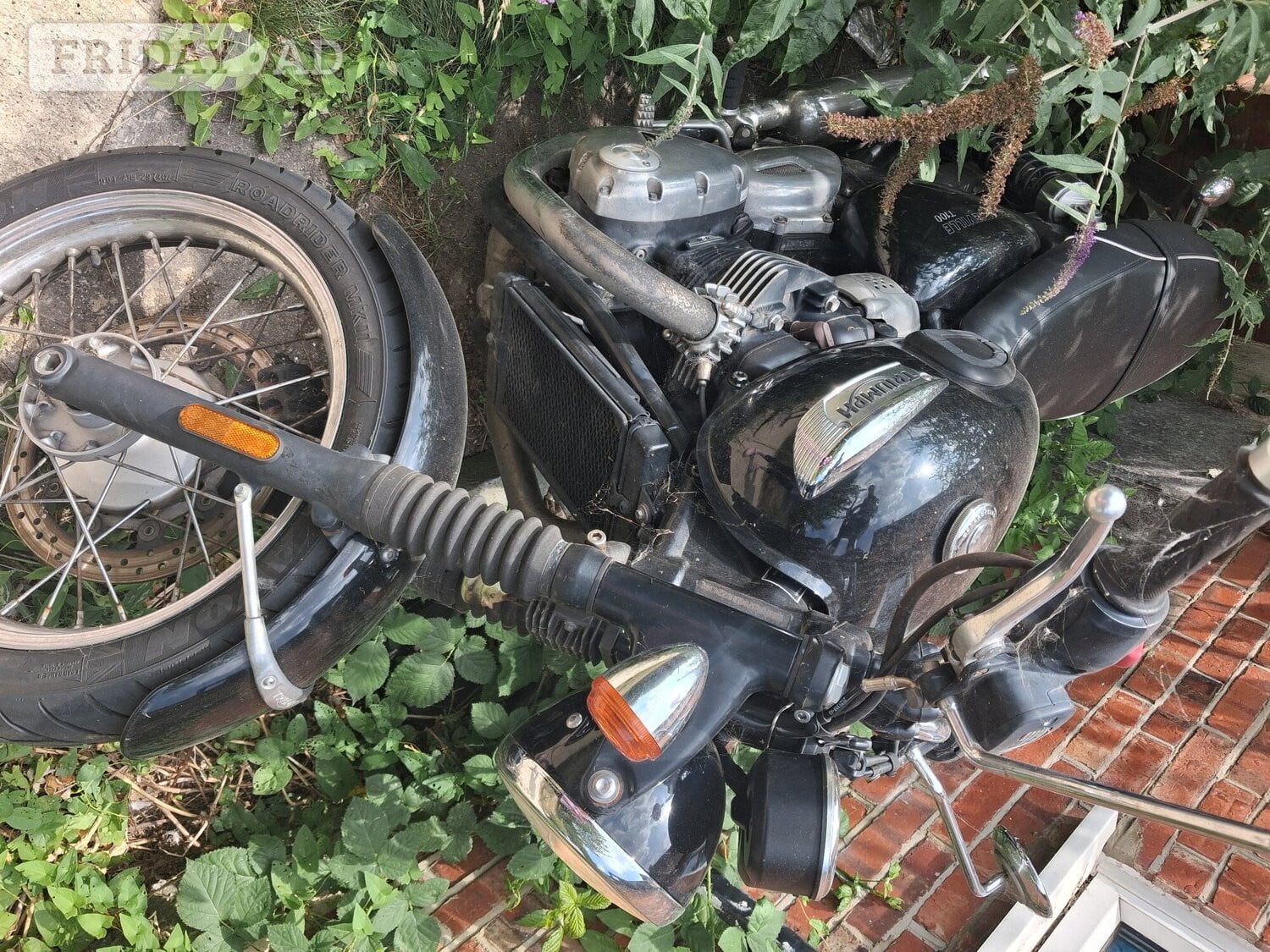 Triumph bonnvile t100 