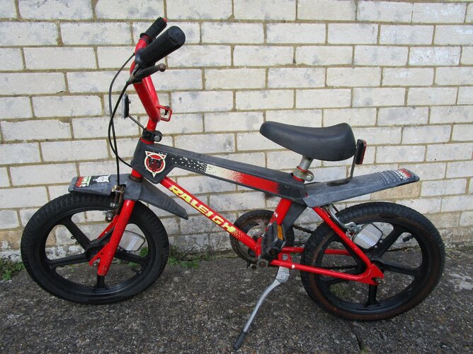 Raleigh Street Wolf Boys Bike
