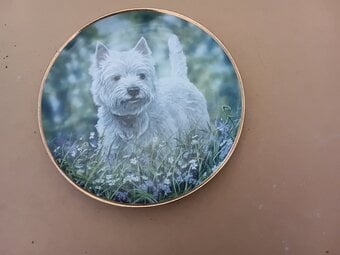 "Westie" West Highland White Terrier collector plate.