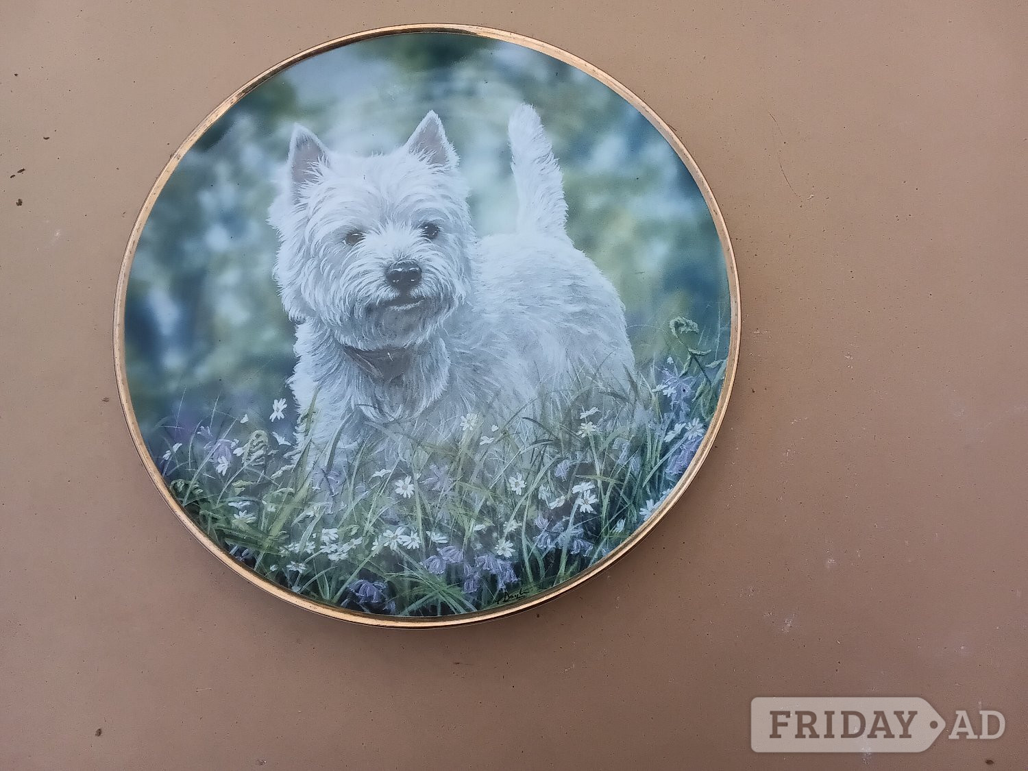 "Westie" West Highland White Terrier collector plate. in Mayfield