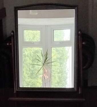 Stag Minstrel Tilting Mirror