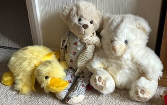Soft Toy Collection - Excellent Condition