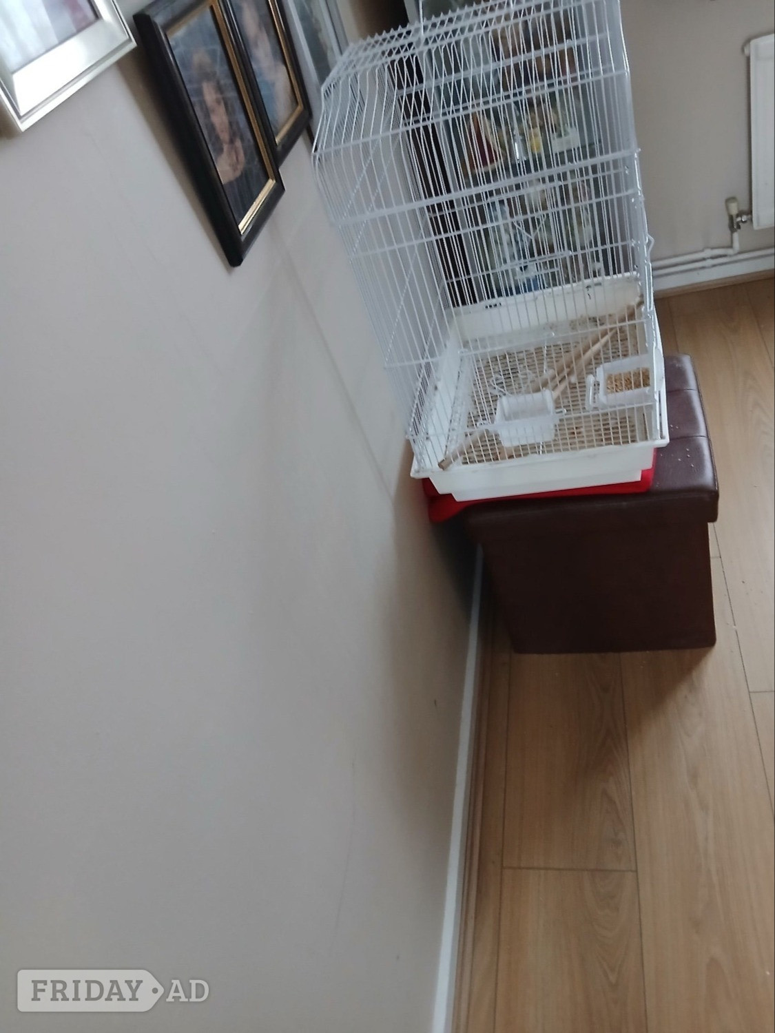 White budie cage good condition 2 perches and 2 food dishes in Crawley