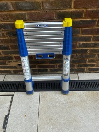 Werner Telescopic Extension Ladder 2.9m 10 Rung 150kg Auto Lock
