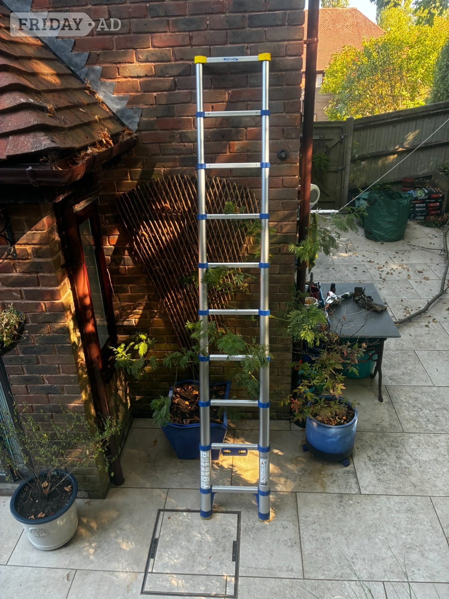 Werner Telescopic Extension Ladder 2.9m 10 Rung 150kg Auto Lock - DIY in Battle