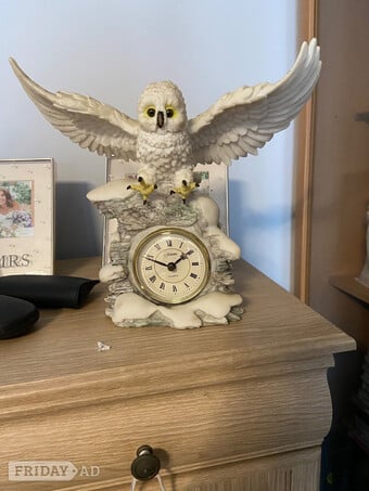 Owls for sale 