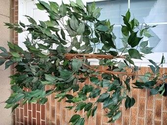 Artificial trees realistic 