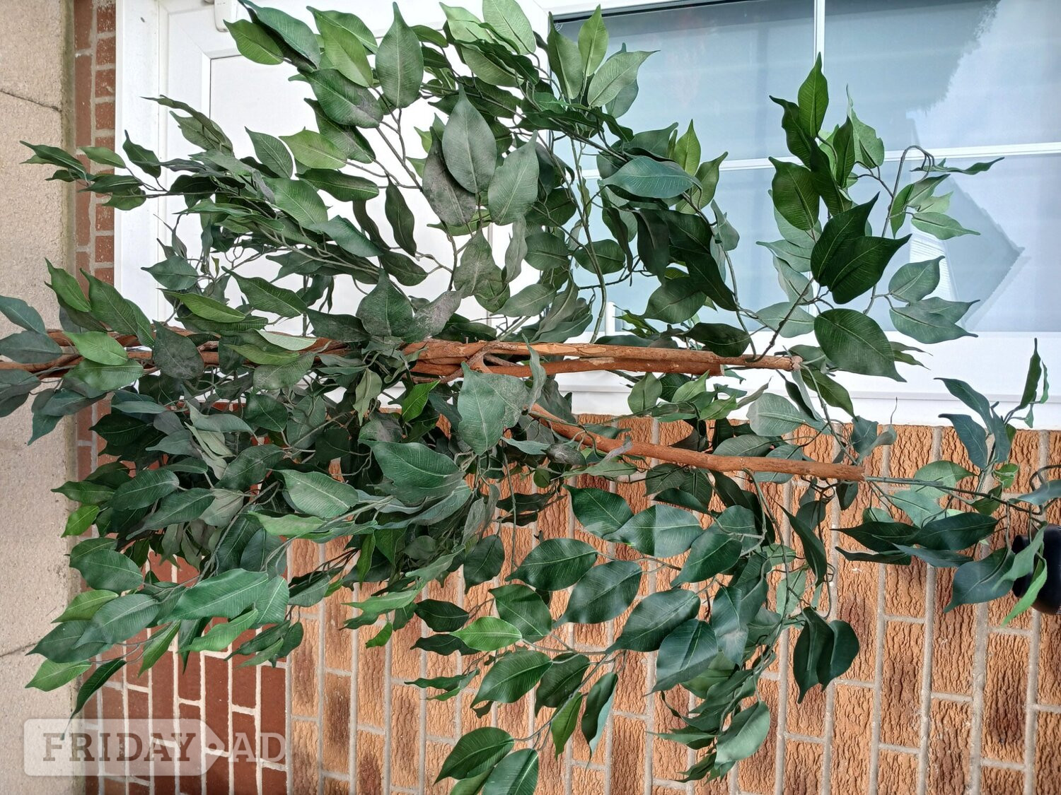 Artificial trees realistic  in Littlehampton