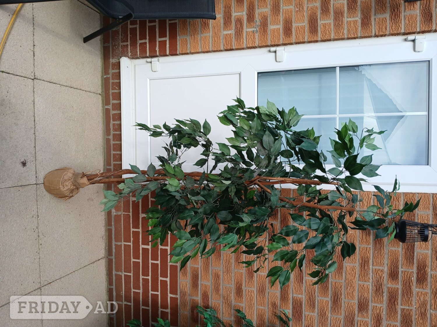 Littlehampton Artificial trees realistic 