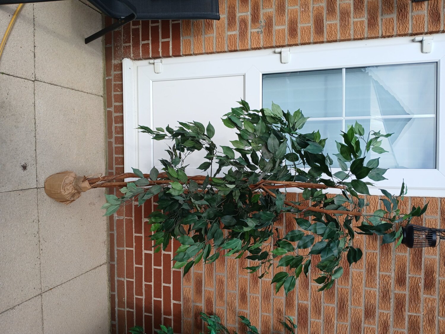 Littlehampton Artificial trees realistic 