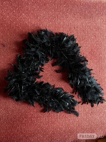 Black, Halloween, fancy dress, feather boa.