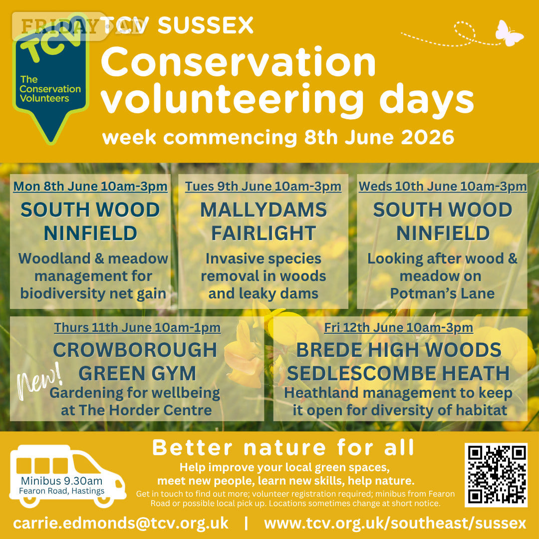 Conservation volunteering opportunities w/c8/06/2026 in Hastings