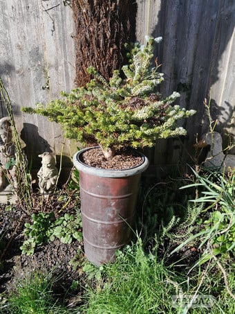 Vintage Tall Feature Copper Pot Planter Jardiniere Vase 