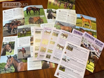 Pictures of horses for collage etc FREE
