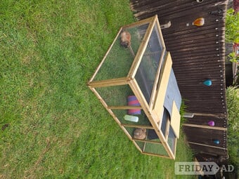 2 male rabbits with hutch and garden run looking for new home FREE