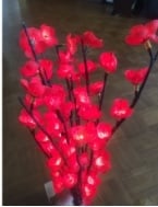 Indoors cherry blossom lights.   Calls only