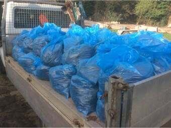 Mushroom Compost For Sale