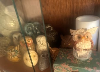 14 owls - various sizes 