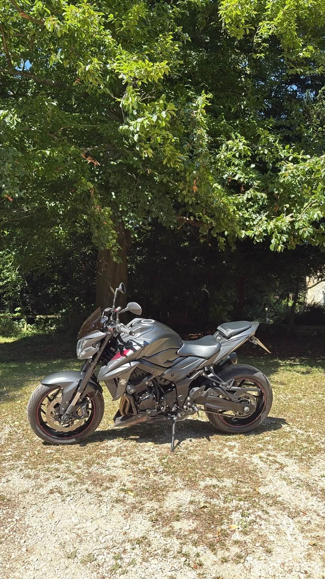 [ berth ]Suzuki Gsxs 750