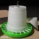 Chickens feeders, drinkers, accessories, treatments