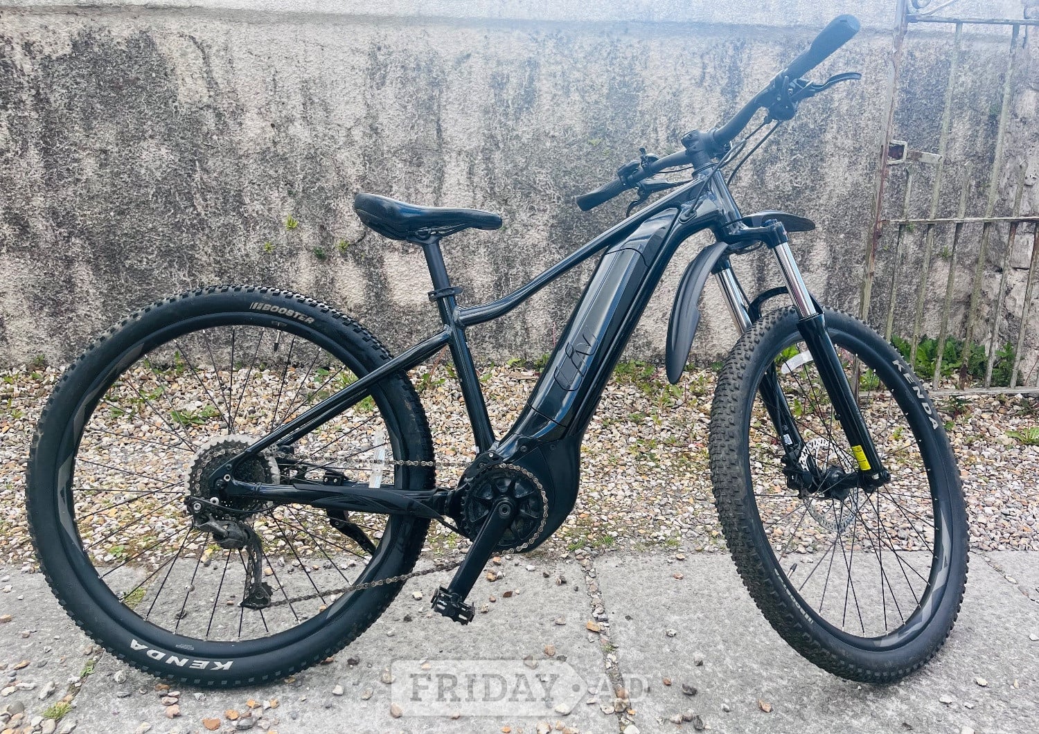 Swansea Liv Tempt E electric mountain bike
