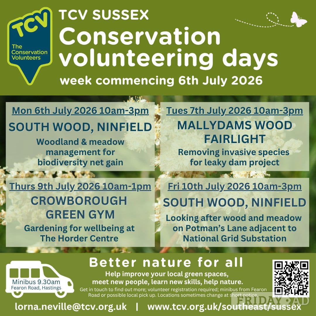 Conservation volunteering opportunities w/c6/07/2026 in Hastings