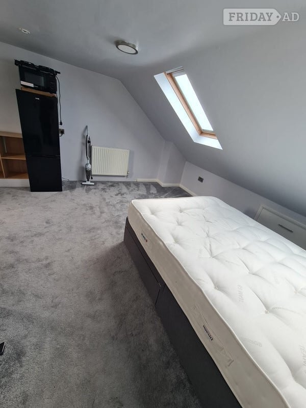 Specious Large Loft Ensuite Available For Female - Rooms