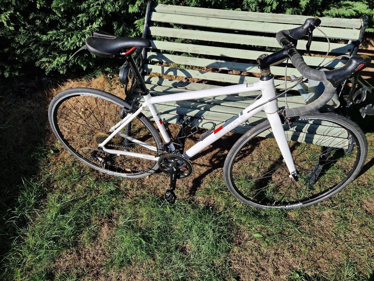 Ladies road bike