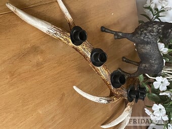 Antler Candle Holder