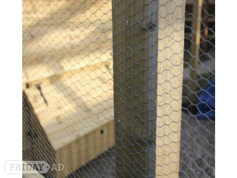Galvanised chicken Wire Mesh Netting