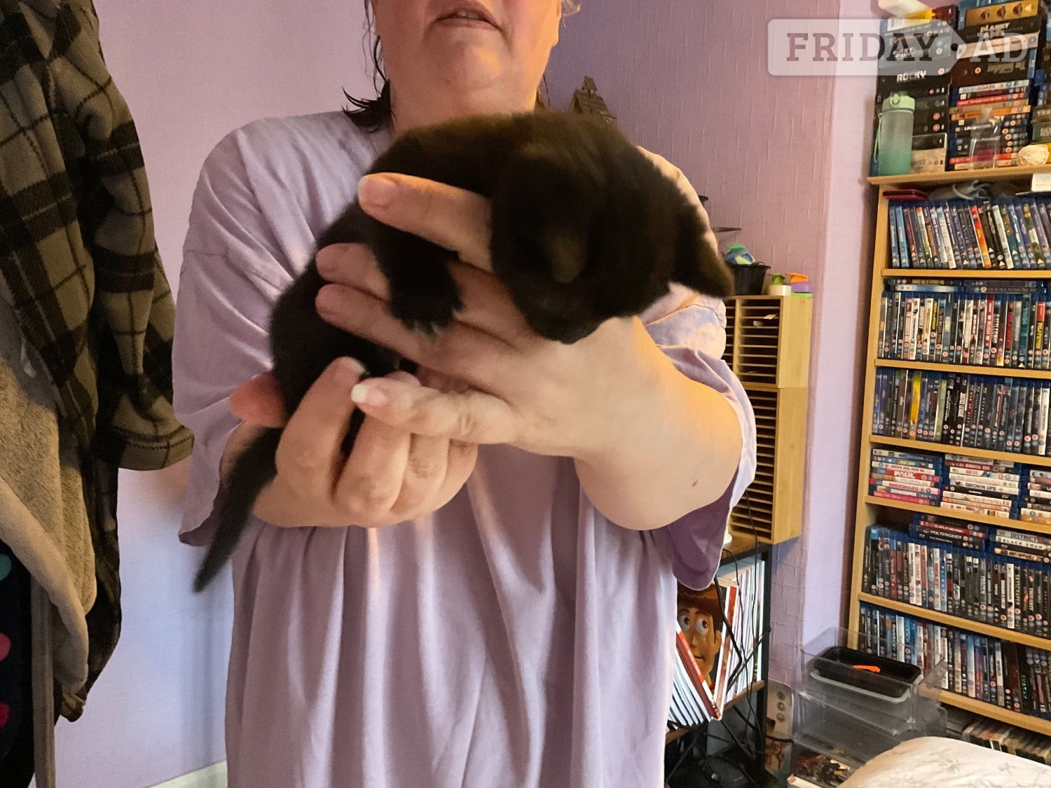 Two domestic kittens available  - Cats & Kittens in Chippenham