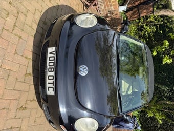 Vw beetle convertible 
