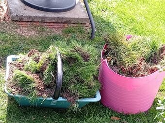 Soil with turf