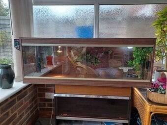 Vivarium 4 foot with electrics