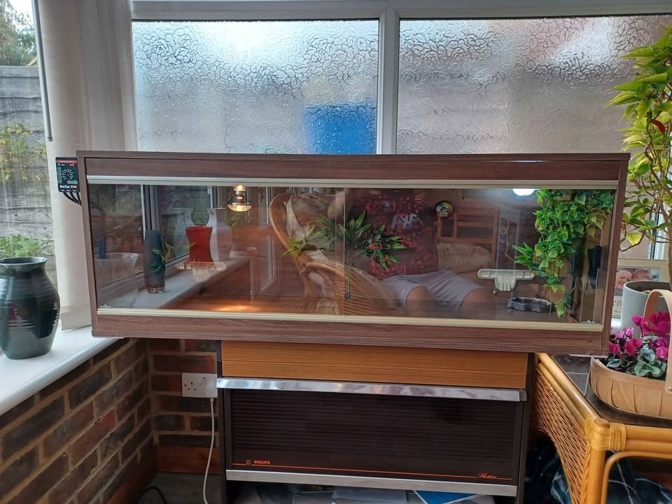 Vivarium 4 foot with electrics in Gillingham
