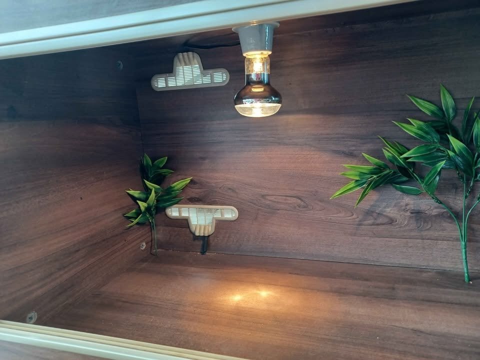 Vivarium 4 foot with electrics - Pet Accessories & Supplies in Gillingham