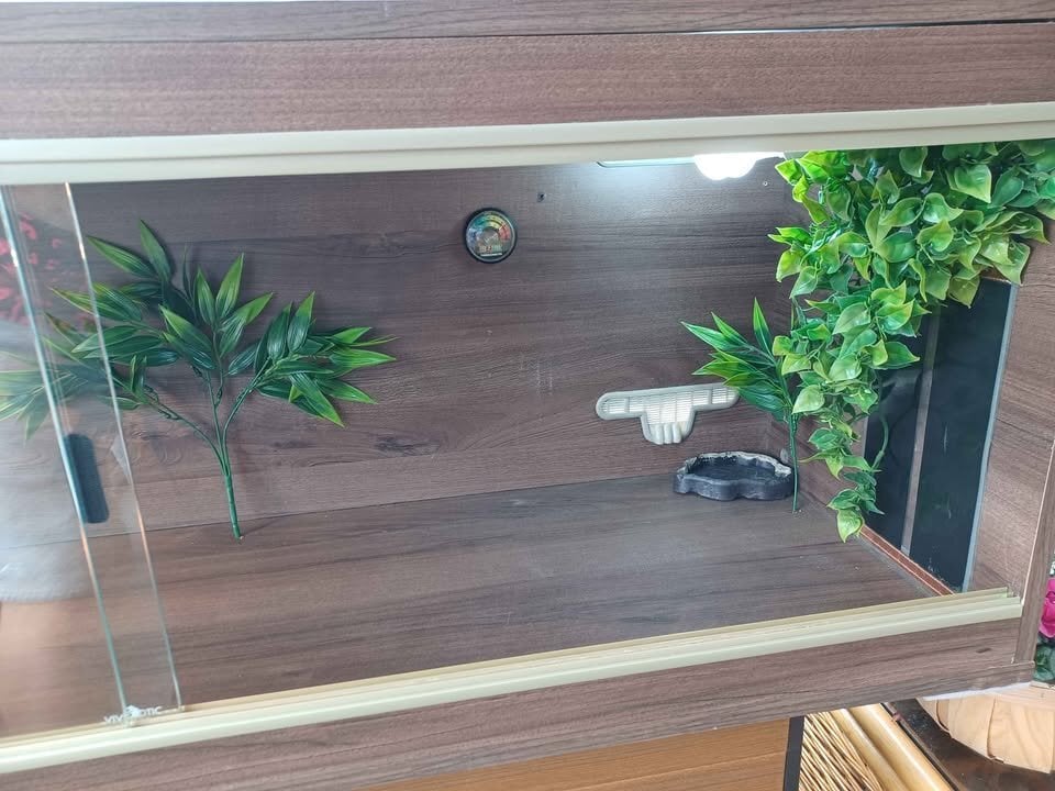 Vivarium 4 foot with electrics - Pet Accessories & Supplies