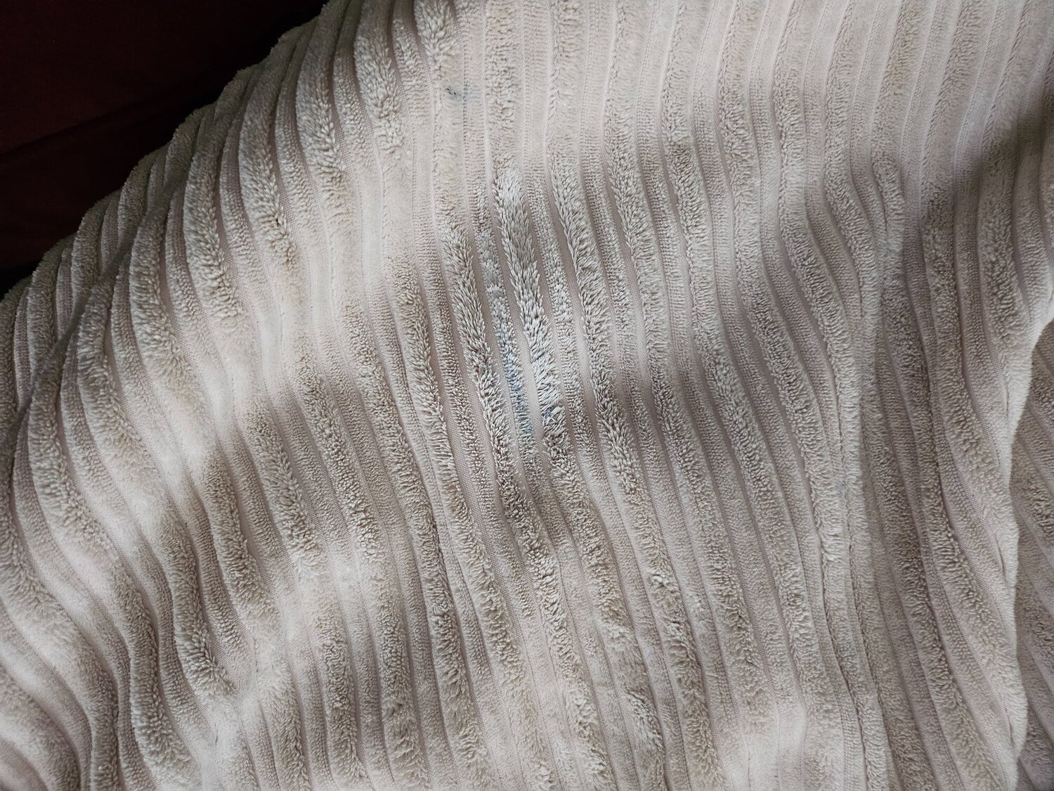 XXL (huge) Mammoth Bean Bag (MUST GO) - Furniture