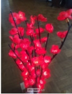 Indoors cherry blossom lights.   Calls only in Bexhill-On-Sea