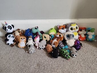 Ty and beanie boo teddies 