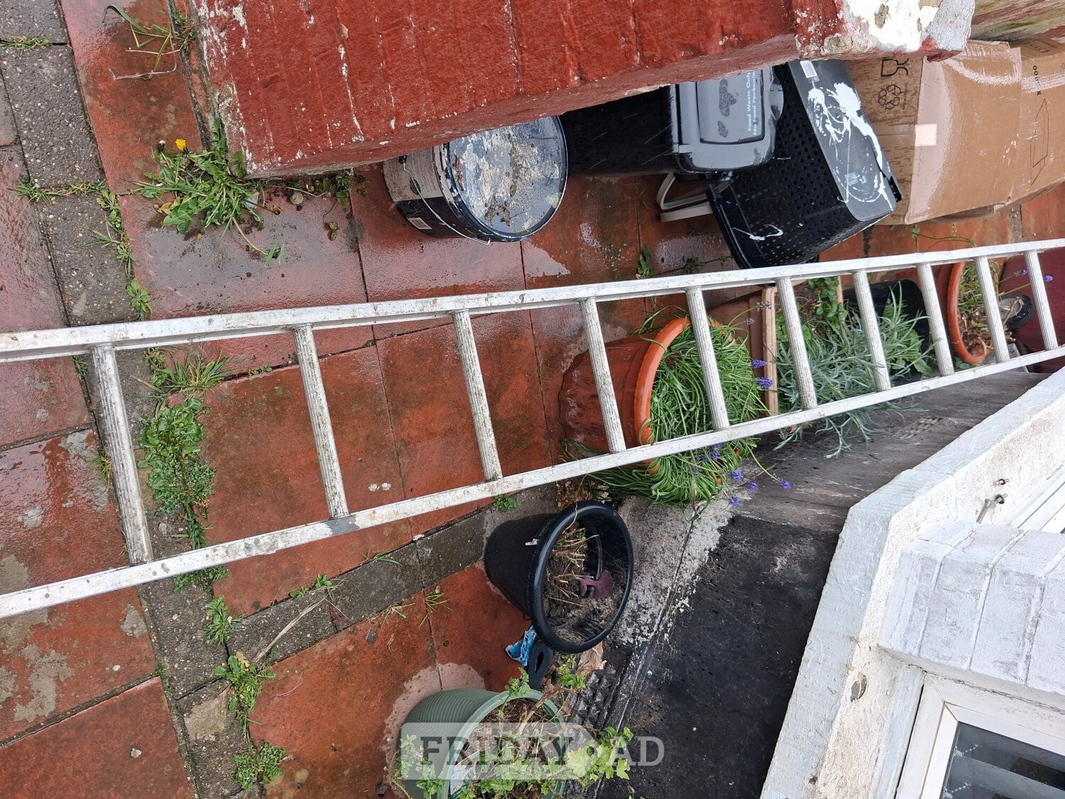 Ladder  metal about 10 ft in Reading