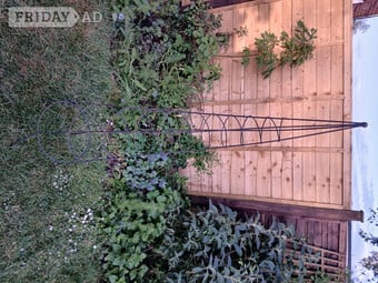 Decorative plant supports