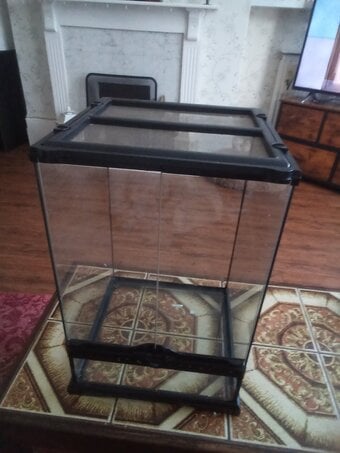 Free small Terrarium