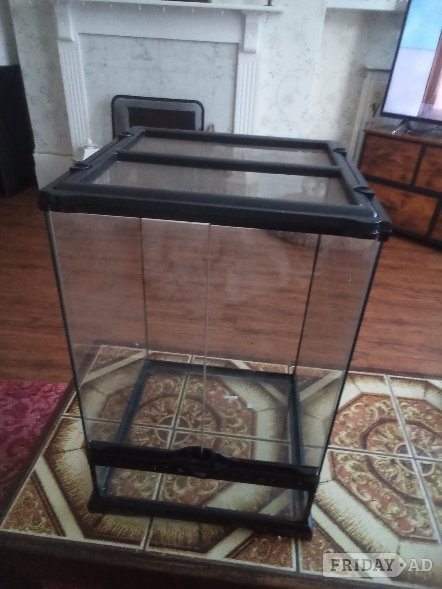 Free small Terrarium in Bexhill-On-Sea