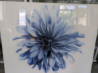 Glass splashback for sale 